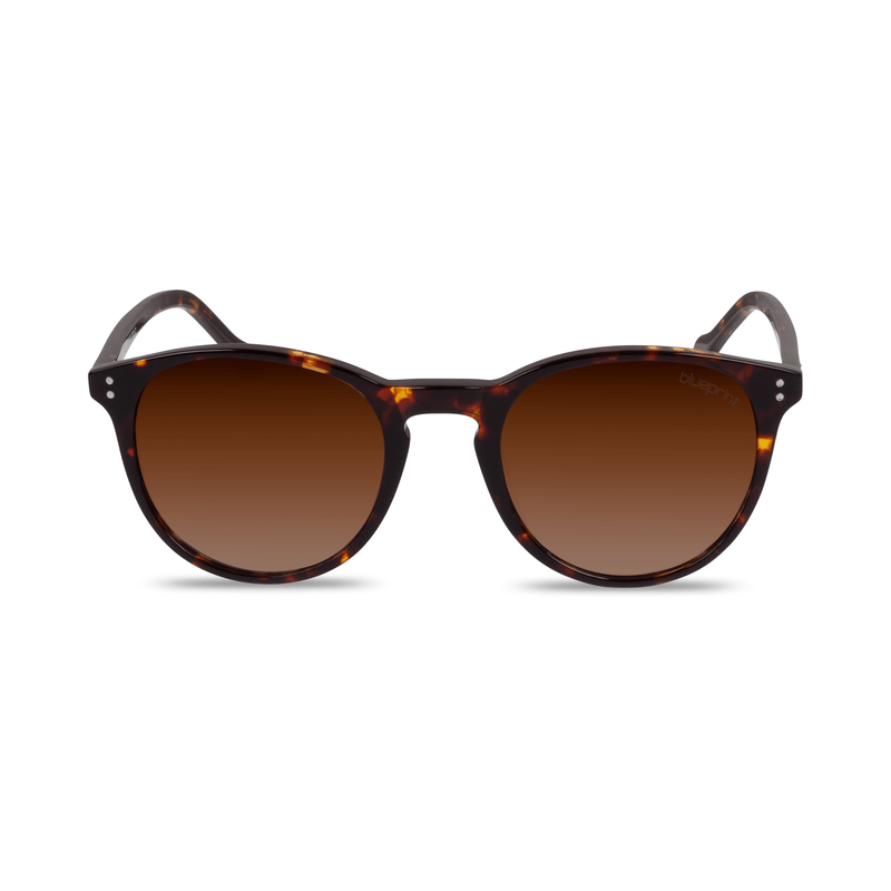 Gini // Havana Gradient Brown