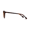 Gini // Havana Gradient Brown