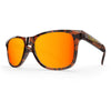 Noosa // Orange Tortoise - Blueprint Eyewear - 1