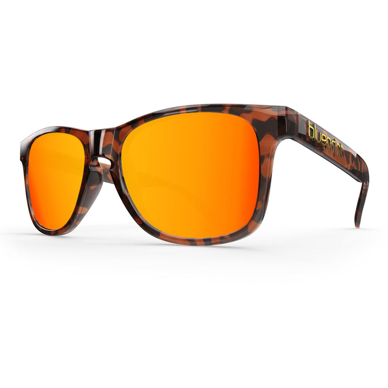 Noosa // Orange Tortoise - Blueprint Eyewear - 1
