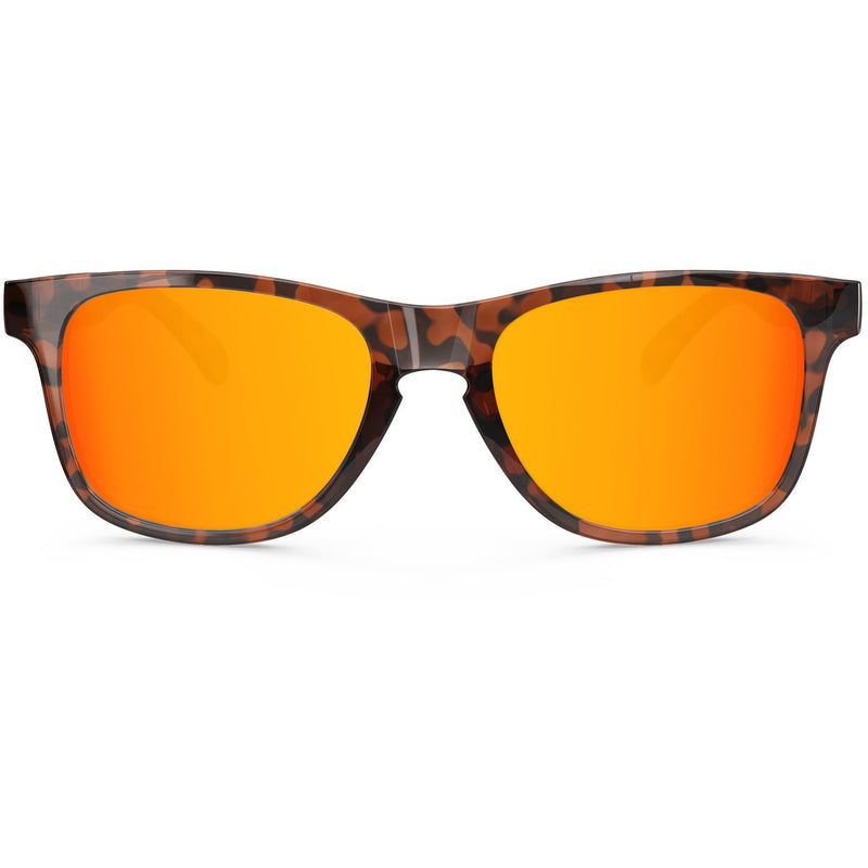Noosa // Orange Tortoise - Blueprint Eyewear - 2